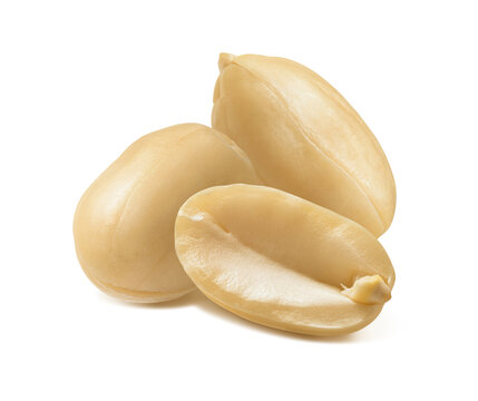 Peanut peeled isolated on white background. Real photography