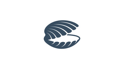 Open Clam Shell Vector Illustration © raigen