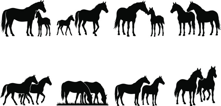 Horse family silhouette collection, mare foal and herd equine black icons, vector illustration design