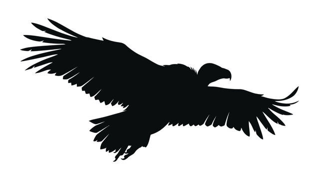 Vulture silhouette flies with wings spread wide across the frame.