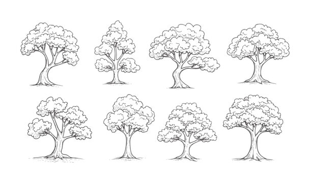 Collection of eight hand drawn black ink trees with foliage and branches nature white
