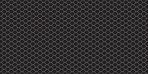 Fishing or soccer net. Repeated hexagon pattern. Black wired mesh texture isolated on white background.ilustrasion modern. © BAHAYA