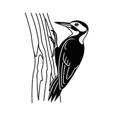 Fototapeta premium vector illustration of a bird