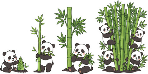 Cute panda cartoon illustration set showing growth sequence with bamboo trees for children education book and commercial graphic design © AdhinChandra