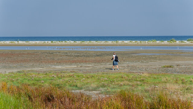 Woman exploring coastal lagoon landscape watching birds