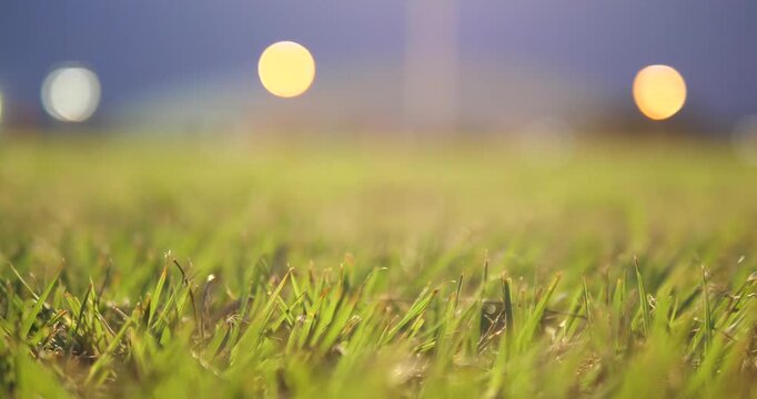Low angle of stadium green grass with night bokeh lights background