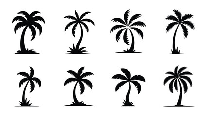 Obraz premium Black palm tree silhouettes on white background