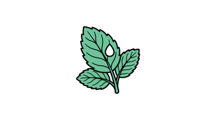 Fresh Mint Leaf Vector Illustration © mbendo