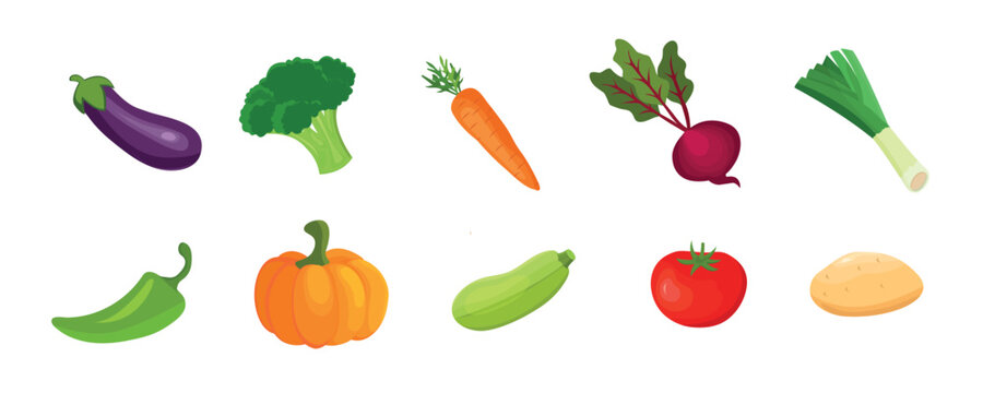 vegetables collection, isolated elements, vector design