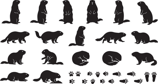 Professional set of black vector silhouettes featuring various groundhog poses and individual animal paw prints for creative graphic design projects