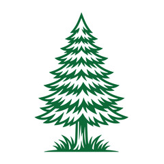 Obraz premium Stylized green pine tree with grass at the base, on a white background, conifer evergreen forest