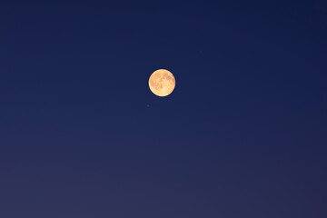 Fototapeta premium Full Moon on a twilight background.