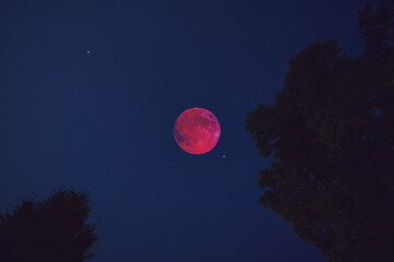 Fototapeta premium Lunar eclipse, stars and planets above landscape silhouettes.