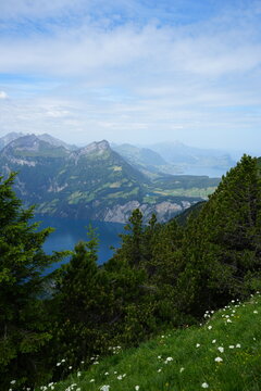 mountains, wild flowers and lakes in Switzerland, Stoos Ridge scenery