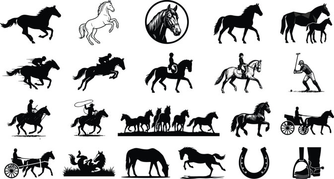 Horse silhouette vector collection featuring riders, equestrian sports, cowboy, carriage, and classic equestrian elements