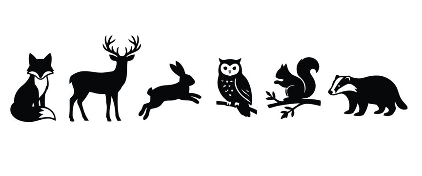 silhouettes of animals