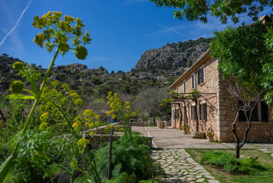     Gehe zu Seite|12345...11Weiter

Mallorca, Spanien: Wanderung im Norden der Insel, Serra de Tramuntana zum Puig des Tossals Verds - die Bergh&uuml;tte "refugio des tossals verds"