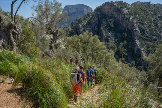 Mallorca, Spanien: Wanderung im Norden der Insel, Serra de Tramuntana zum Puig des Tossals Verds - Wandergruppe in den Bergen