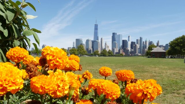 New York City Manhattan Downtown Financial District skyline, World Trade Center tower from New Jersey Liberty state park, United States. Green grass lawn, marigolds and skyscraper buildings cityscape.