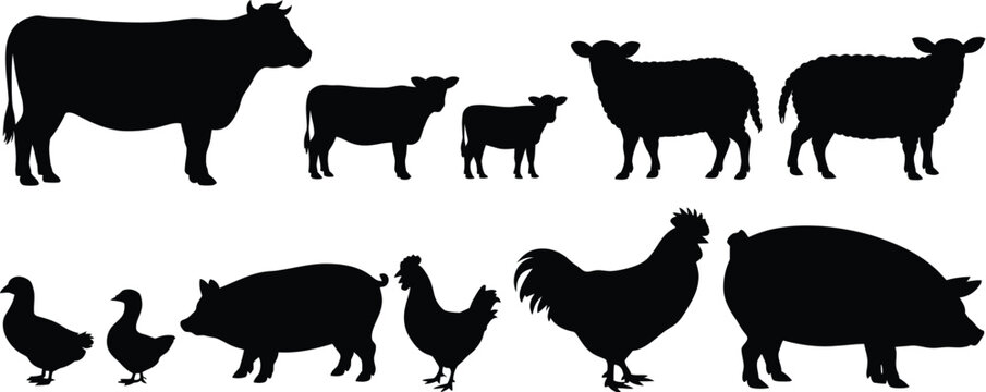 Black silhouette farm animals collection featuring cattle, sheep, pigs, ducks and chickens, isolated vector design set