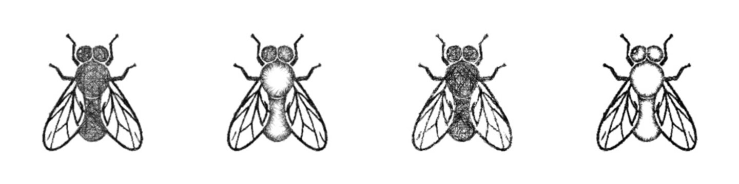 Black and white sketch fly icon design set
