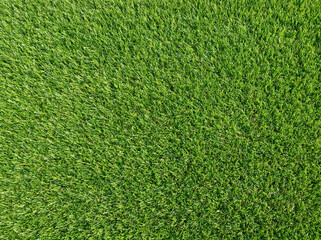 Obraz premium Vibrant and Lush Green Grass Close Up Showcasing Healthy Turf Perfect for Landscaping Projects and Outdoor Activities in Gardens Parks and Recreational Spaces Providing a Natural Feel