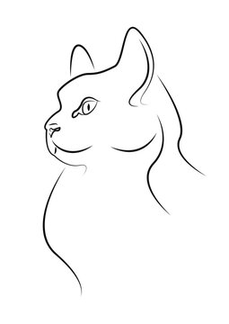 Kat
