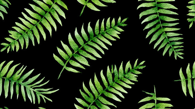 Watercolor fern leaf pattern with lush tropical foliage on black background. Hand painted botanical texture for fabric, wallpaper, wrapping paper and nature inspired design.