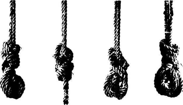 Different types of rope knots and nooses hanging in silhouette on white background