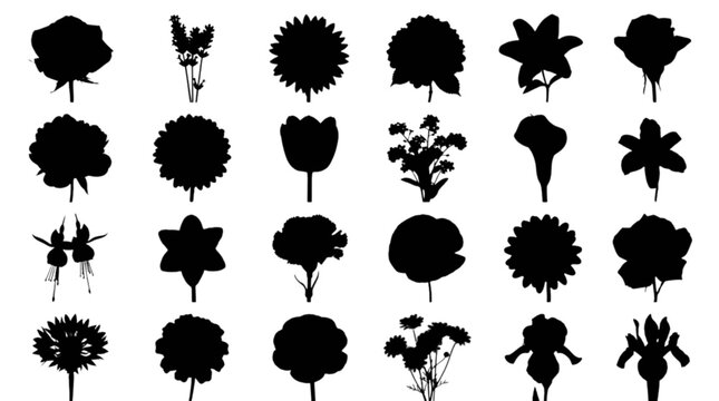 Black and white cute cloud and star icons set isolated on transparent background, Vector