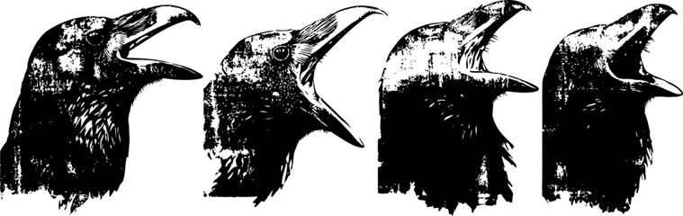 Obraz premium Four raven heads in black silhouette with open beaks showing caws and expressions
