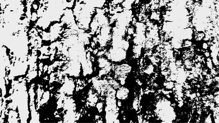 Fototapeta premium Abstract Grunge Black and White Bark Texture Pattern