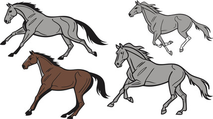Collection of four running horses in various poses, featuring grey and brown coats with black manes and tails, isolated on white background © Johir