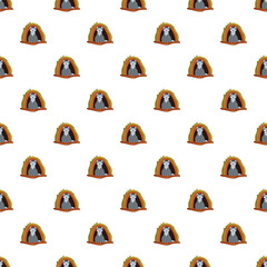 Obraz premium Arctic foxes peeking from their cozy dens creating a repeating animal background