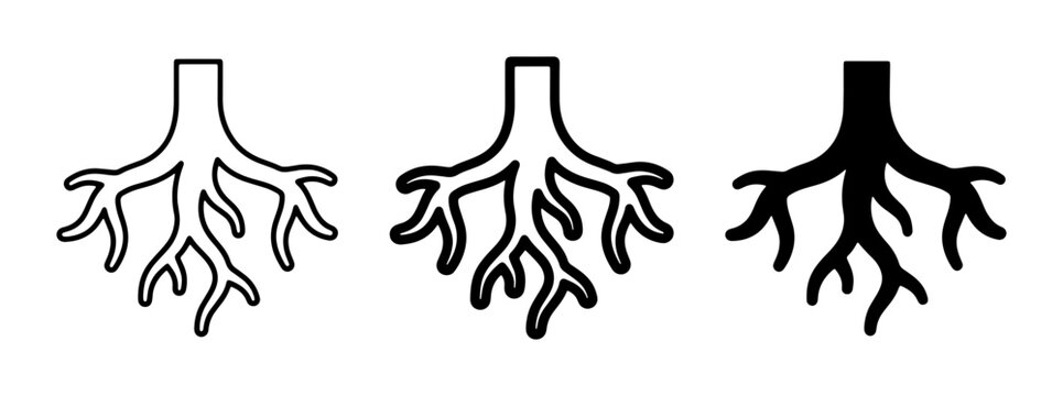 Root System Icons, Plant Roots Vector Graphics, Organic Structure Symbols, Nature Elements, Black and White Design