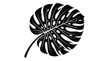 Monstera leaf silhouette vector, black tropical foliage icon on white background, minimalist botanical plant element for modern logo design © Ch
