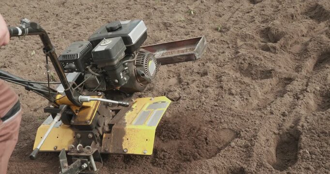 Close-up view of a yellow cultivator tilling the soil in a garden bed, preparing the ground for planting season as a farmer operates the agricultural machinery from behind