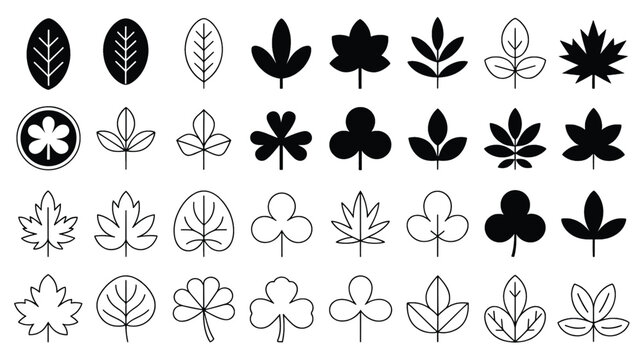 A collection of various black leaf silhouettes with different shapes and sizes on a white background