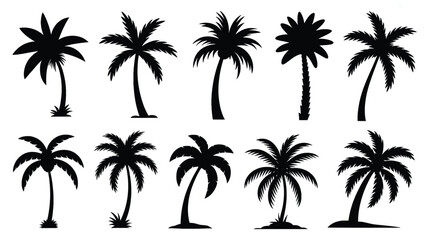 Fototapeta premium A collection of black silhouette palm trees in various poses on a white background
