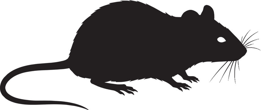 Silhouette of a mouse vector art