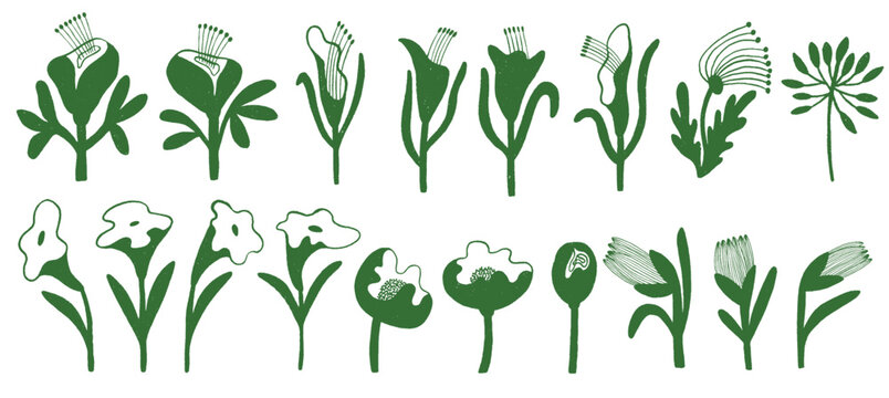 fHand drawn flower shapes and line art collection