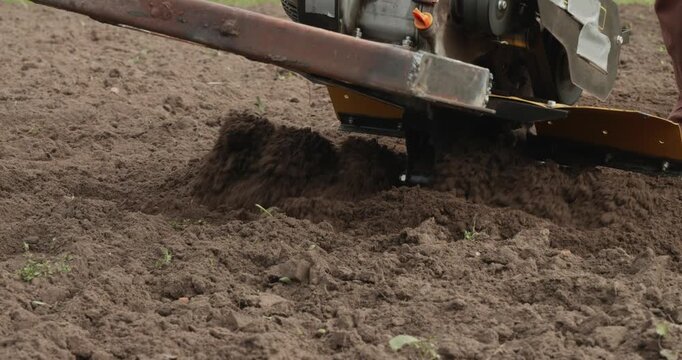 Cultivator machine tilling the fertile soil in a garden before planting season, preparing the ground for sowing seeds in a rural farm field during springtime agricultural work