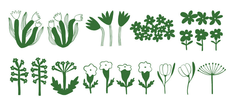 fHand drawn flower shapes and line art collection