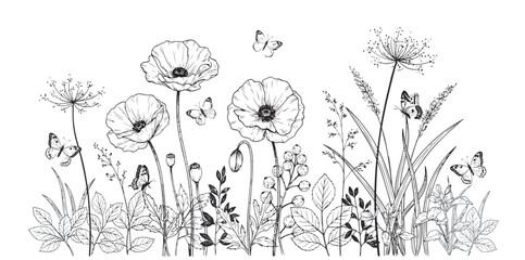 Hand drawn botanical illustration with blooming poppies and flying butterflies in ink © Mrsd