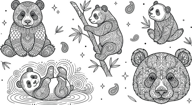 Giant Panda Mandala Vector Illustration Set with Henna Paisley Pattern Wildlife Design Elements