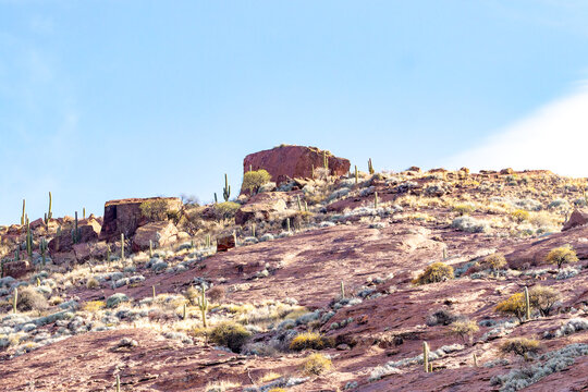 Arid rocky hillside dotted with giant cardon cacti under a clear blue sky in Brealito, Salta, Argentina. A scenic and remote desert landscape.