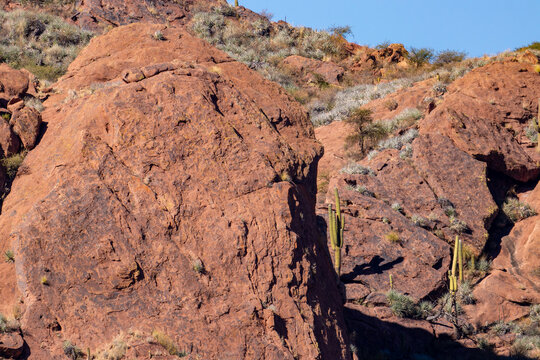 Striking red rock formations and giant cardon cacti characterize the rugged, arid landscape around Laguna de Brealito in Salta, northern Argentina.
