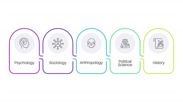 Social sciences linear timeline infographics animation. Systematic study of human society. Public policy studying. Academic subjects. Outline icons diagram animated 5 steps. HD video