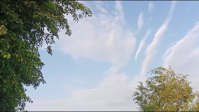 Sunny Sky Above Lake with Green Trees in Dera Ismail Khan, Khyber Pakhtunkhwa, Pakistan