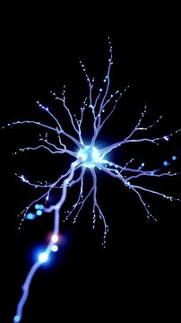 Animated brain cells moving on an empty black background, vertical video featuring glowing neurons, neural connections and scientific medical visualization